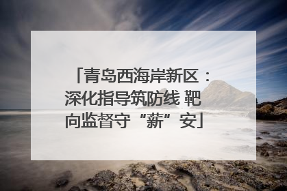 青岛西海岸新区：深化指导筑防线 靶向监督守“薪”安