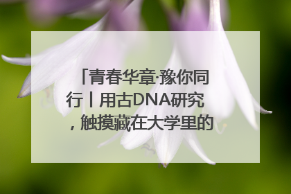 青春华章·豫你同行丨用古DNA研究，触摸藏在大学里的“上下五千年”