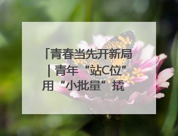 青春当先开新局｜青年“站C位” 用“小批量”撬动产业大变革