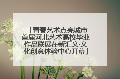 青春艺术点亮城市 首届河北艺术高校毕业作品联展在新汇文·文化创意体验中心开幕