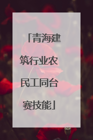 青海建筑行业农民工同台赛技能