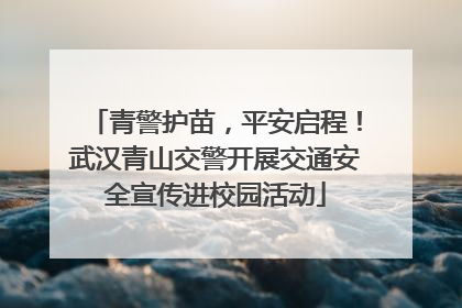 青警护苗，平安启程！武汉青山交警开展交通安全宣传进校园活动