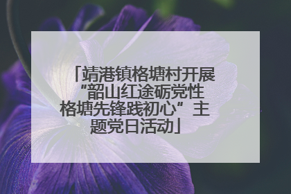 靖港镇格塘村开展“韶山红途砺党性 格塘先锋践初心”主题党日活动