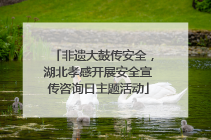 非遗大鼓传安全，湖北孝感开展安全宣传咨询日主题活动