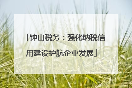 钟山税务：强化纳税信用建设护航企业发展