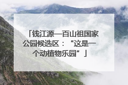 钱江源—百山祖国家公园候选区：“这是一个动植物乐园”