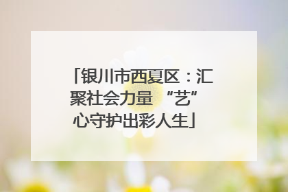 银川市西夏区：汇聚社会力量 “艺”心守护出彩人生