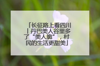 长征路上看四川丨丹巴美人谷里多了“美人脆”，村民的生活更甜美