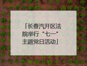 长春汽开区法院举行“七一”主题党日活动