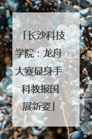 长沙科技学院：龙舟大赛显身手 科教报国展新姿
