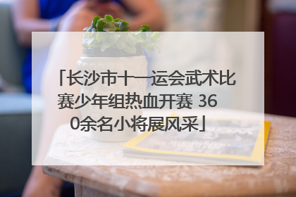 长沙市十一运会武术比赛少年组热血开赛 360余名小将展风采
