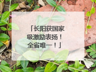 长阳获国家级激励表扬！全省唯一！
