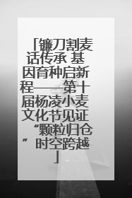 镰刀割麦话传承 基因育种启新程——第十届杨凌小麦文化节见证“颗粒归仓”时空跨越