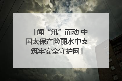 闻“汛”而动 中国太保产险丽水中支筑牢安全守护网