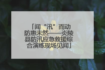 闻“汛”而动 防患未然——炎陵县防汛应急救援综合演练现场见闻