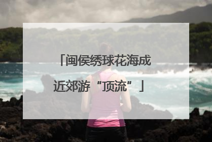 闽侯绣球花海成近郊游“顶流”