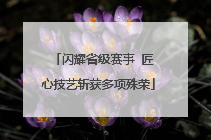 闪耀省级赛事  匠心技艺斩获多项殊荣