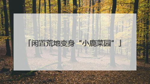 闲置荒地变身“小鹿菜园”