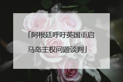 阿根廷呼吁英国重启马岛主权问题谈判
