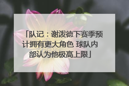 队记：谢泼德下赛季预计拥有更大角色 球队内部认为他极高上限