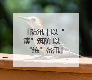 防汛｜以“演”筑防 以“练”备汛