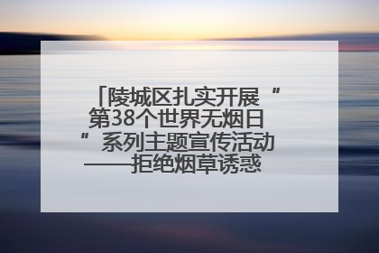 陵城区扎实开展“第38个世界无烟日”系列主题宣传活动——拒绝烟草诱惑 对第一支烟说不
