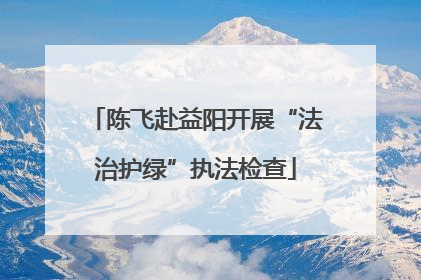 陈飞赴益阳开展“法治护绿”执法检查
