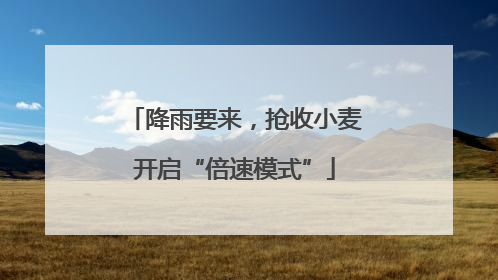 降雨要来，抢收小麦开启“倍速模式”