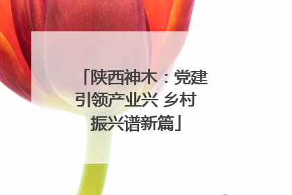 陕西神木：党建引领产业兴 乡村振兴谱新篇
