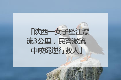 陕西一女子坠江漂流3公里，民警激流中咬绳逆行救人