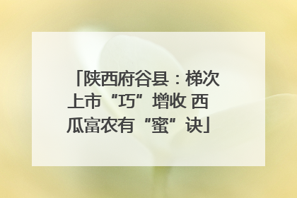 陕西府谷县：梯次上市“巧”增收 西瓜富农有“蜜”诀