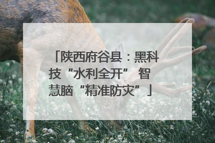 陕西府谷县：黑科技“水利全开” 智慧脑“精准防灾”