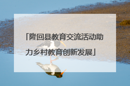 隆回县教育交流活动助力乡村教育创新发展