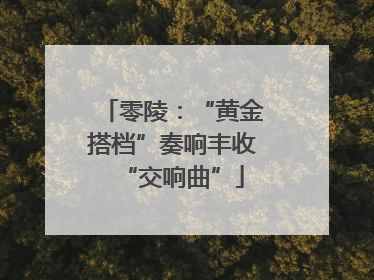 零陵：“黄金搭档”奏响丰收“交响曲”