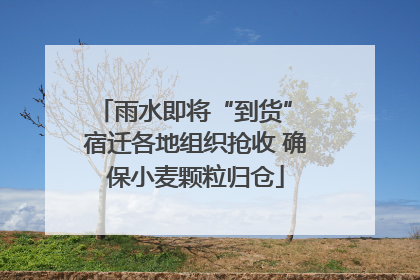 雨水即将“到货” 宿迁各地组织抢收 确保小麦颗粒归仓