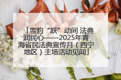 雪豹“跃”动间 法典润民心——2025年青海省民法典宣传月（西宁地区）主场活动见闻