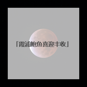 霞浦鲍鱼喜迎丰收