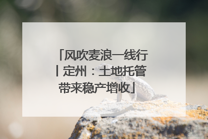 风吹麦浪一线行丨定州：土地托管带来稳产增收