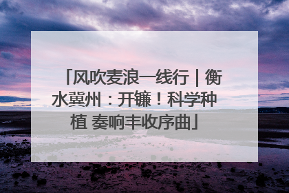 风吹麦浪一线行｜衡水冀州：开镰！科学种植 奏响丰收序曲