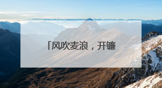 风吹麦浪，开镰啦！顺义15万亩小麦迎来丰收
