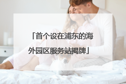 首个设在浦东的海外园区服务站揭牌