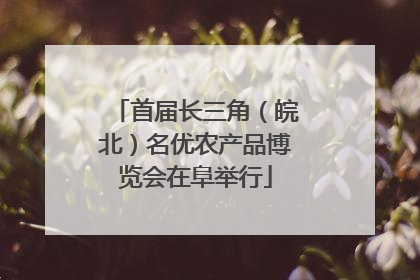 首届长三角（皖北）名优农产品博览会在阜举行