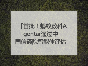 首批！蚂蚁数科Agentar通过中国信通院智能体评估，获最高评级