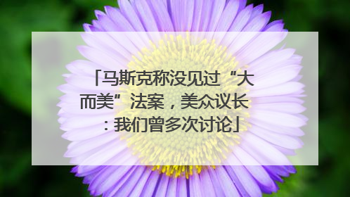 马斯克称没见过“大而美”法案，美众议长：我们曾多次讨论