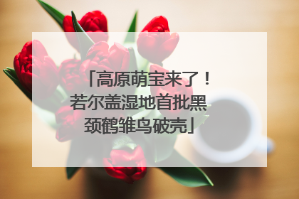 高原萌宝来了！若尔盖湿地首批黑颈鹤雏鸟破壳