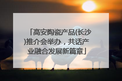 高安陶瓷产品(长沙)推介会举办，共话产业融合发展新篇章