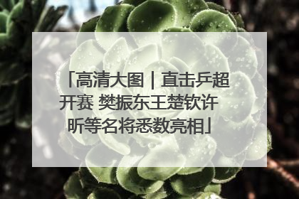 高清大图｜直击乒超开赛 樊振东王楚钦许昕等名将悉数亮相