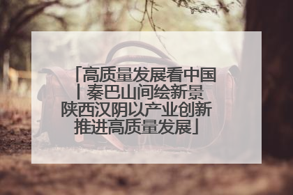 高质量发展看中国丨秦巴山间绘新景 陕西汉阴以产业创新推进高质量发展