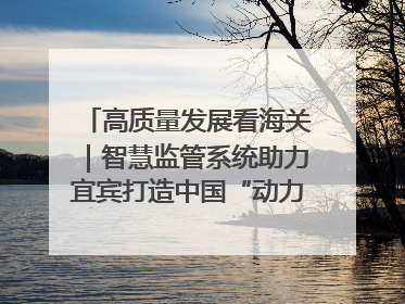 高质量发展看海关｜智慧监管系统助力宜宾打造中国“动力电池之都”