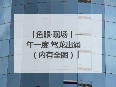 鱼眼·现场丨一年一度 驾龙出涌（内有全图）